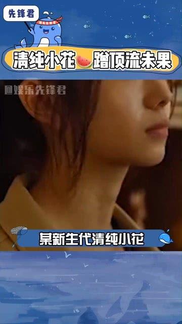 娱乐吃瓜酱娱乐播报,揭秘娱乐圈最新热点，带你畅游八卦海洋