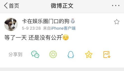 娱乐吃瓜官方爆料,吃瓜群众揭秘明星幕后故事