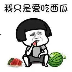 娱乐吃瓜二十五,吃瓜群众深度解析二十五