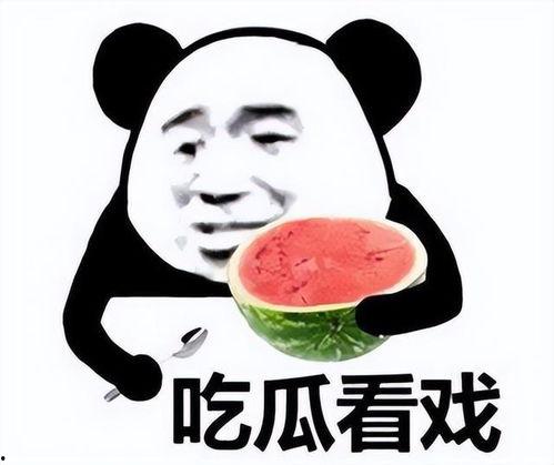 娱乐吃瓜酱求角b,求角b背后的故事与真相