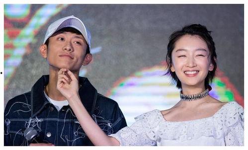 娱乐圈吃瓜户,揭秘“吃瓜户”背后的真相与趣味